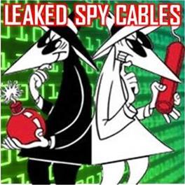 Spy Cables HOME3