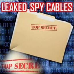 Spy Cables HOME6